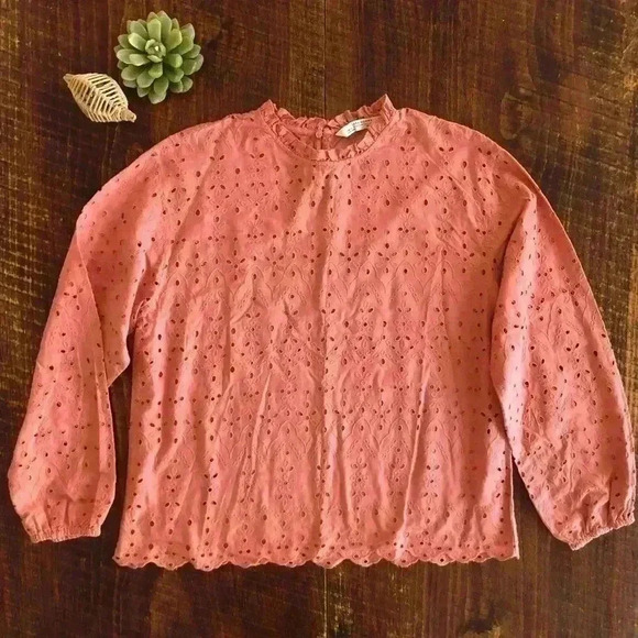 ZARA | Salmon Pink Eyelet Blouse with Ruffle Neckline - Picture 2 of 5